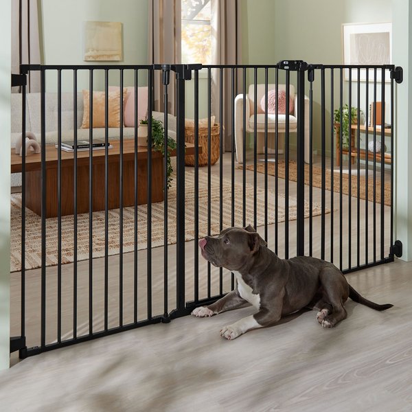 FRISCO Steel 3-Panel Configurable Gate, 41-in Height, Black - Chewy.com