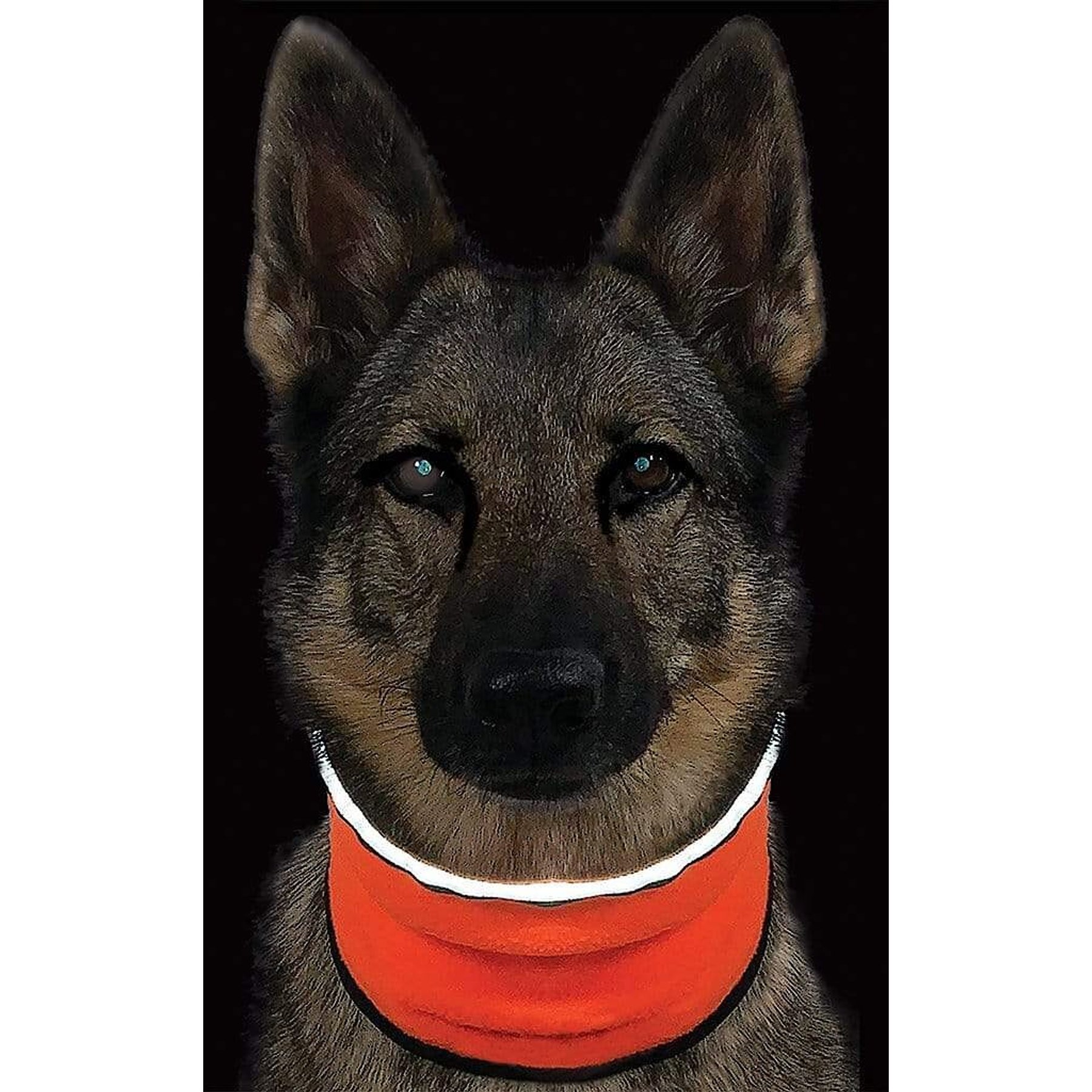 Muttluks MuTTravel ViziNek Reflective Trim Dog Gaiter, Orange, Medium
