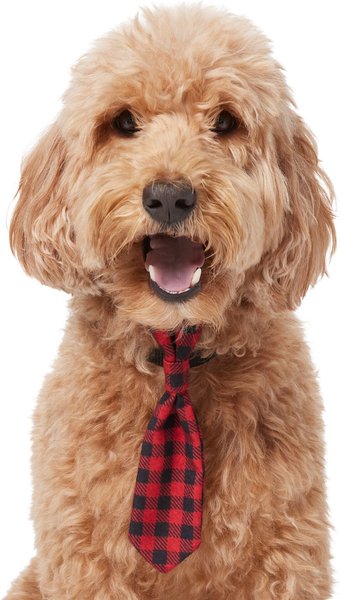 Frisco Holiday Dog & Cat Tie, Red, Small/Medium slide 1 of 6