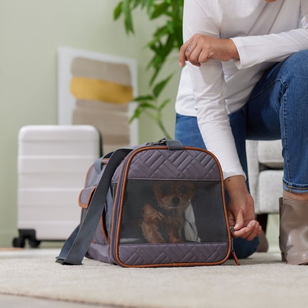Airline-Compliant Pet Carriers For Traveling With Dogs And Cats