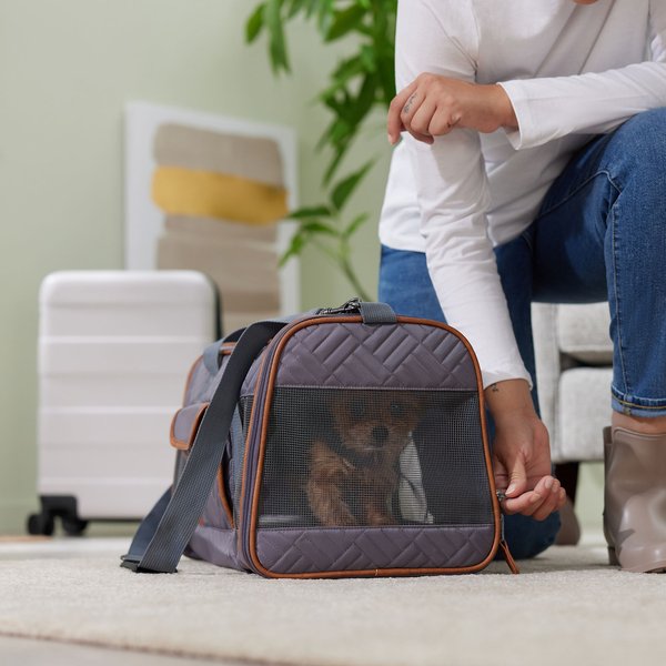 Chewy dog shop travel bag