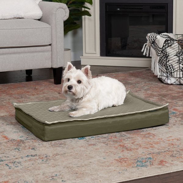 Coleman roll hotsell up dog bed