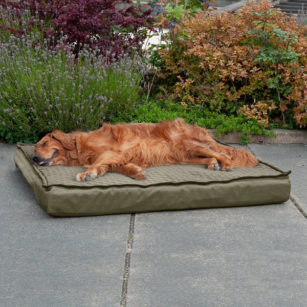 FurHaven Quilt Top Orthopedic Convertible Indoor/Outdoor Cat & Dog Bed, Dark Sage, Jumbo slide 1 of 8