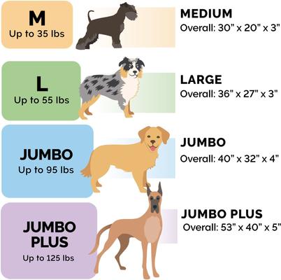 Show full view: FurHaven Quilt Top Memory Foam Convertible Indoor/Outdoor Cat & Dog Bed, Dark Sage, Large slide 2 of 9