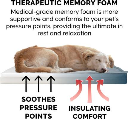 Show full view: FurHaven Quilt Top Memory Foam Convertible Indoor/Outdoor Cat & Dog Bed, Calm Blue, Jumbo Plus slide 5 of 11