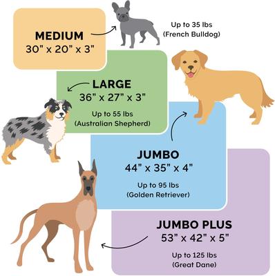 Show full view: FurHaven Quilt Top Memory Foam Convertible Indoor/Outdoor Cat & Dog Bed, Calm Blue, Jumbo Plus slide 10 of 11