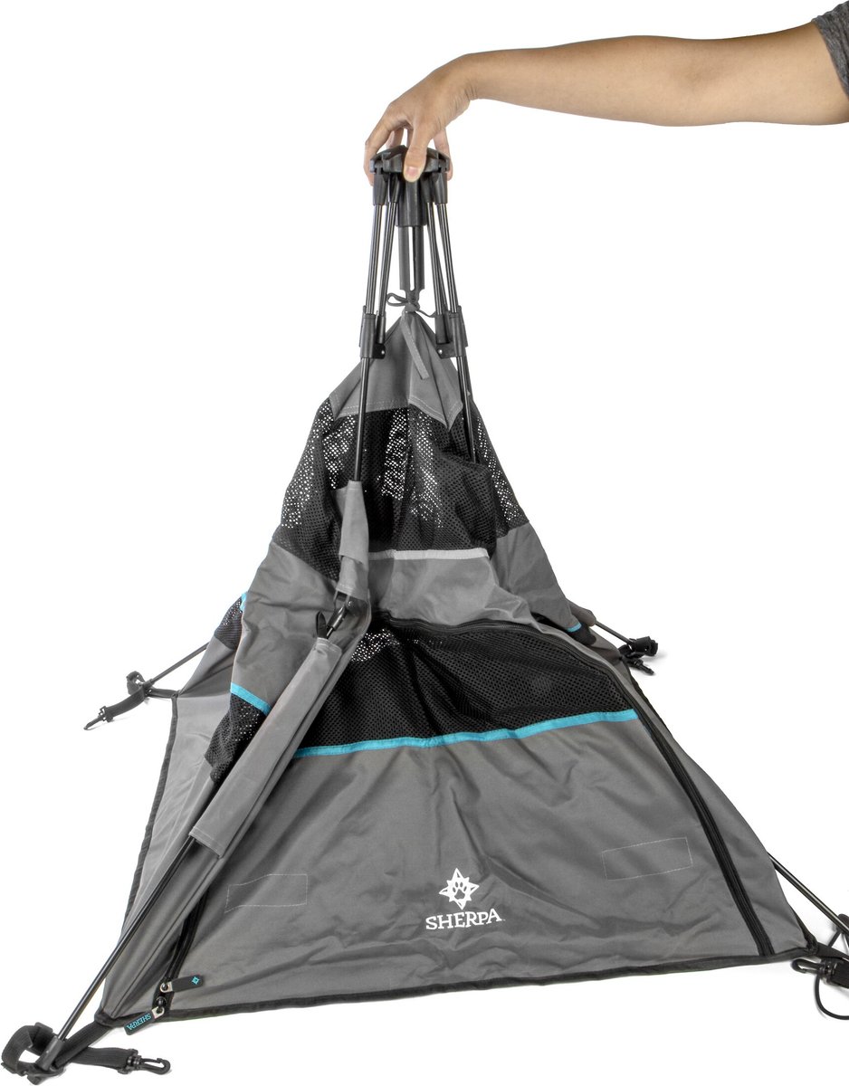 Chewy dog outlet tent