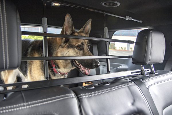 Sherpa K9 Guard Universal Pet Safety Barrier