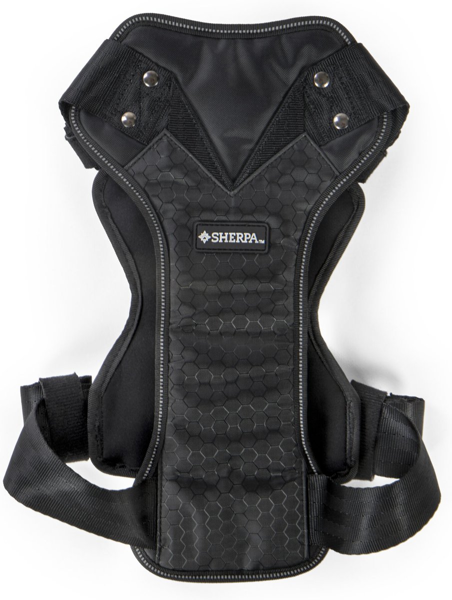 Sherpa seat 2024 belt harness