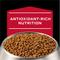 Show in main carousel: Purina Pro Plan Veterinary Diets CC CardioCare High Protein Chicken Flavor Dry Dog Food, 20-lb bag slide 10 of 11