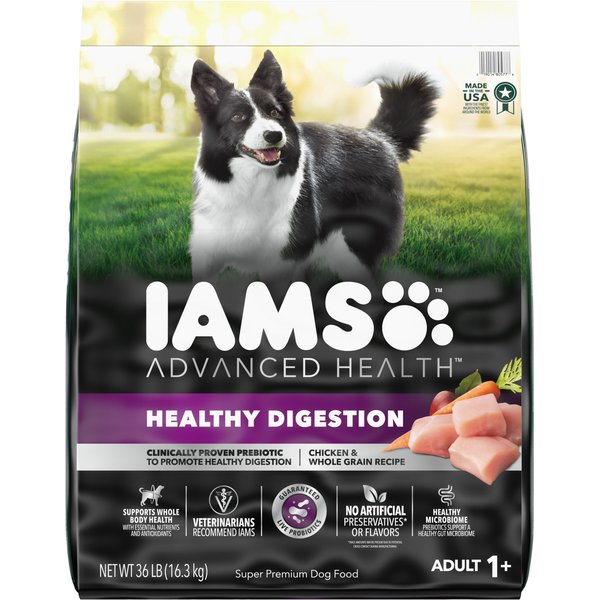 IAMS Advanced Health Healthy Digestion with Probiotics Formula with