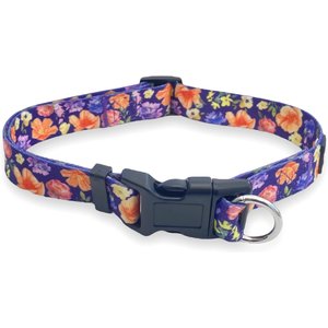 FearLess Pet Safe Cinch Dog Collar, Poppies, Small/Medium