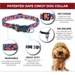 Out of Stock - FEARLESS PET Safe Cinch Dog Collar, Poppies, Small ...