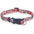 FearLess Pet Safe Cinch Dog Collar, Teal Hawaiian, Small/Medium