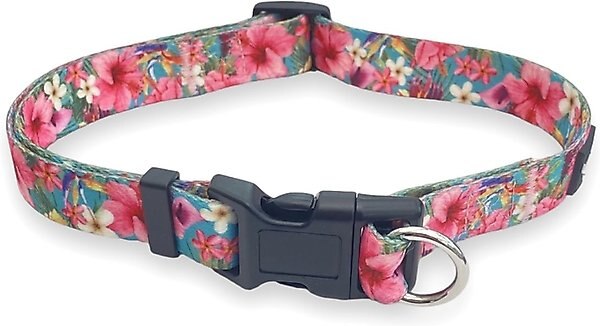 FearLess Pet Safe Cinch Dog Collar, Teal Hawaiian, Medium/Large slide 1 of 9