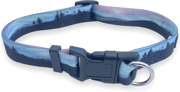 FearLess Pet Safe Cinch Dog Collar, Northern Lights, Medium/Large slide 1 of 9