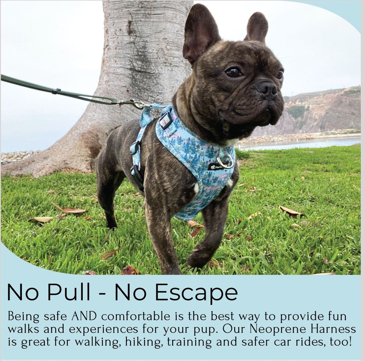 FEARLESS PET Adjustable No Pull No Escape Neoprene Dog Harness