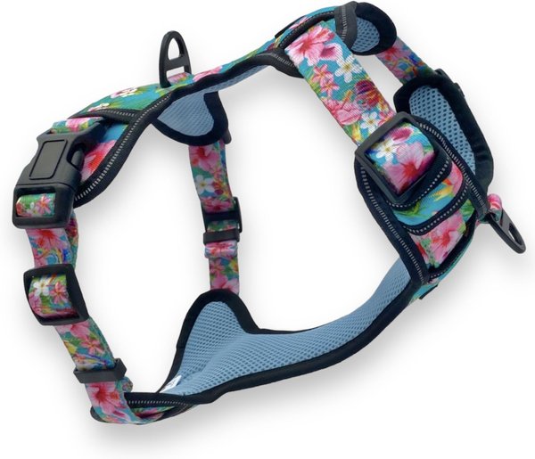 The 16 Best Dog Harnesses for All Types of Outdoor Romps