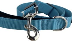 FearLess Pet Padded Handle Adjustable Dog Leash, Teal Blue, Small/Medium slide 2 of 8