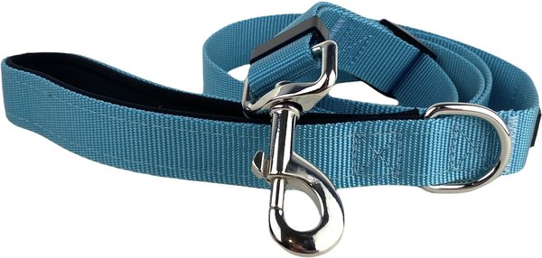 FearLess Pet Padded Handle Adjustable Dog Leash, Teal Blue, Medium/Large slide 1 of 9
