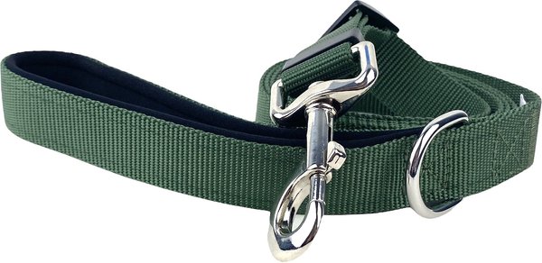 FearLess Pet Padded Handle Adjustable Dog Leash, Forest Green, Medium/Large slide 1 of 9