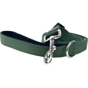 FearLess Pet Padded Handle Adjustable Dog Leash, Forest Green, Medium/Large