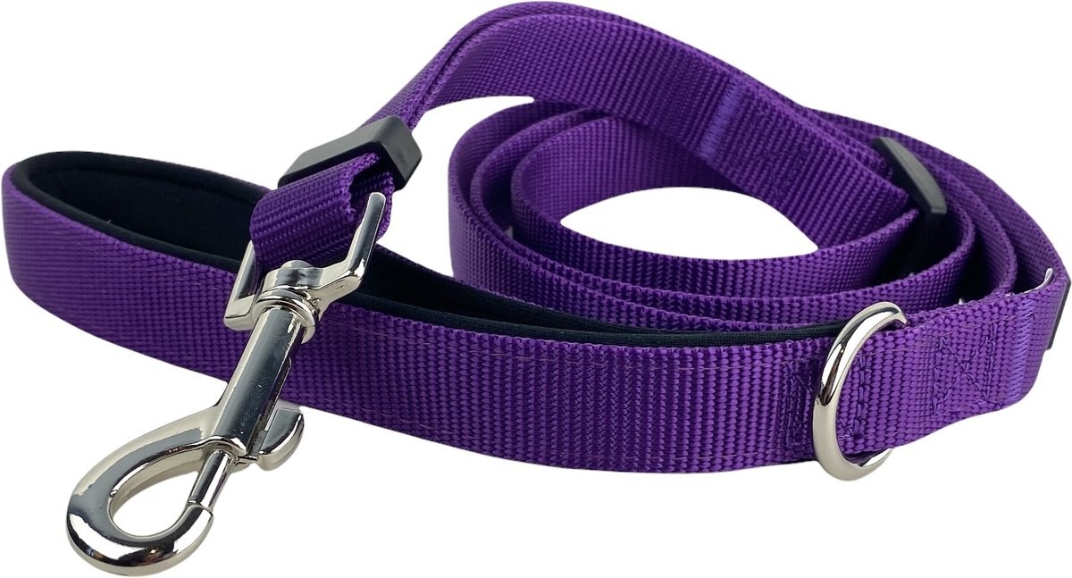 FEARLESS PET Padded Handle Adjustable Dog Leash, Purple, Small/Medium