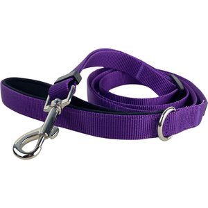 FearLess Pet Padded Handle Adjustable Dog Leash, Purple, Small/Medium