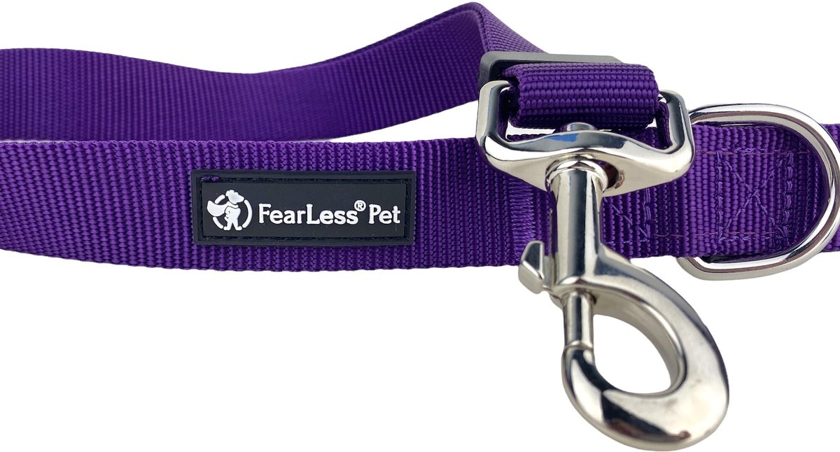 FEARLESS PET Padded Handle Adjustable Dog Leash, Purple, Small/Medium