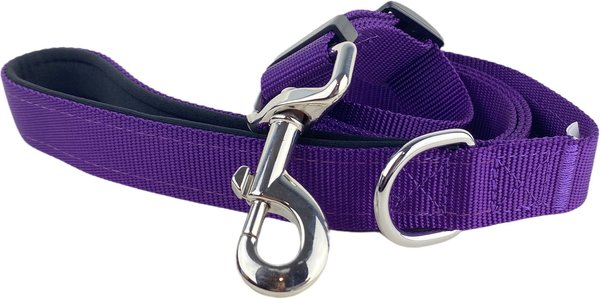 FearLess Pet Padded Handle Adjustable Dog Leash, Purple, Medium/Large slide 1 of 9