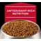 Show in main carousel: Purina Pro Plan Veterinary Diets CC CardioCare High Protein Chicken Flavor Dry Dog Food, 8-lb bag slide 9 of 11