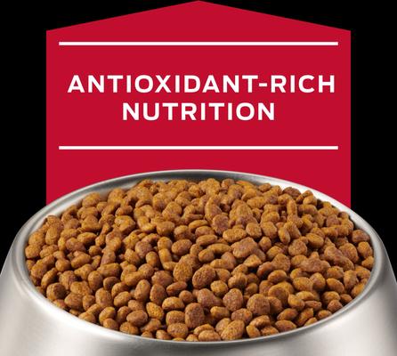 Show full view: Purina Pro Plan Veterinary Diets CC CardioCare High Protein Chicken Flavor Dry Dog Food, 8-lb bag slide 9 of 11