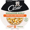 Cesar Wholesome Bowls Chicken, Apple & Sweet Potato Recipe Adult Soft Wet Dog Food, 3-oz Bowl, Case of 10