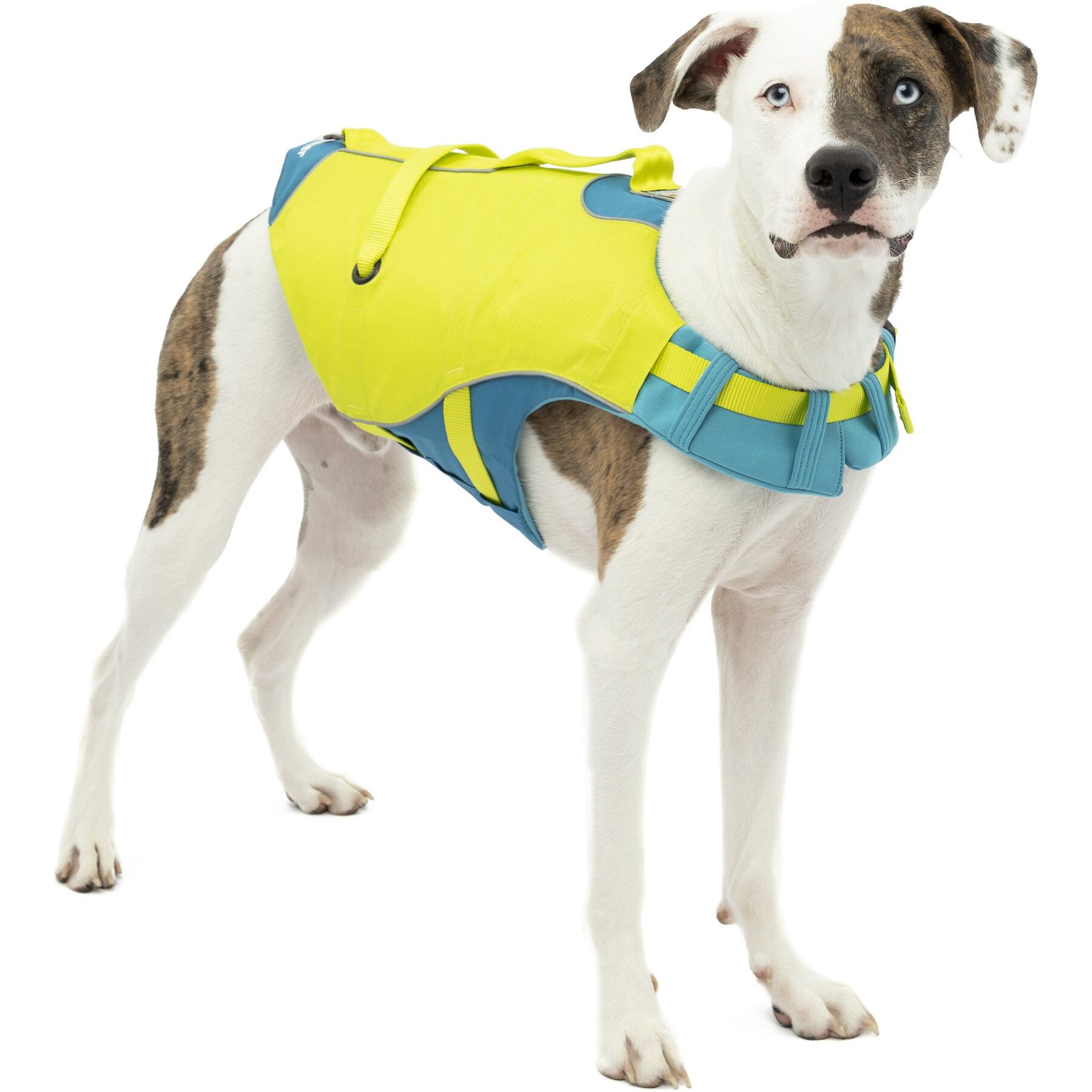 Kurgo Surf-n-Turf Dog Life Jacket, Yellow/Blue, Small