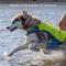 Show in main carousel: Kurgo Surf-n-Turf Dog Life Jacket, Yellow/Blue, Small slide 4 of 12