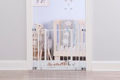 Regalo Pet Products Wall Safe Extra Wide Dog Gate with Wall Shields, White