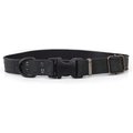 Euro-Dog Celtic Sport Style Luxury Leather Dog Collar, Black, Small