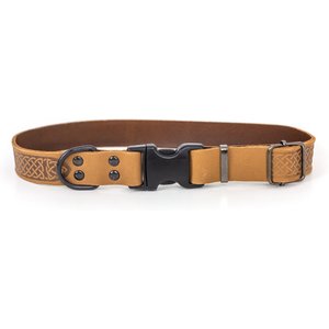 Euro-Dog Celtic Sport Style Luxury Leather Dog Collar, Tan, Medium 