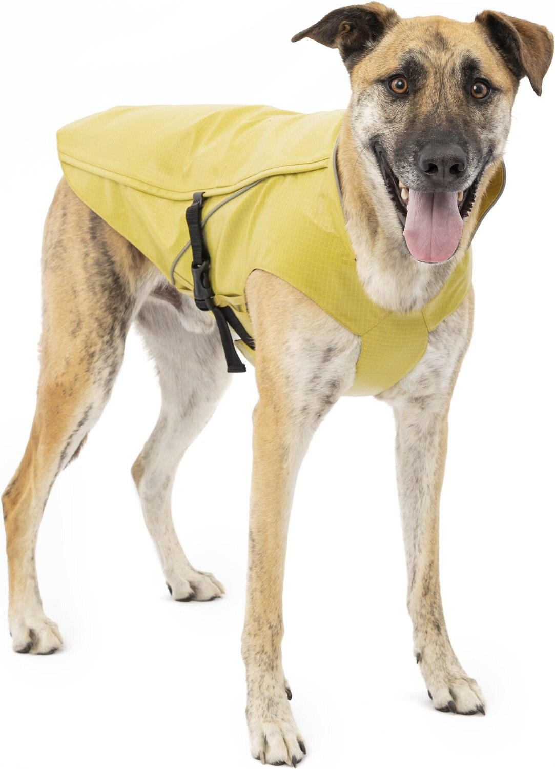 10 Best Rain Coats for Dogs 2023: According to Reviews | Chewy