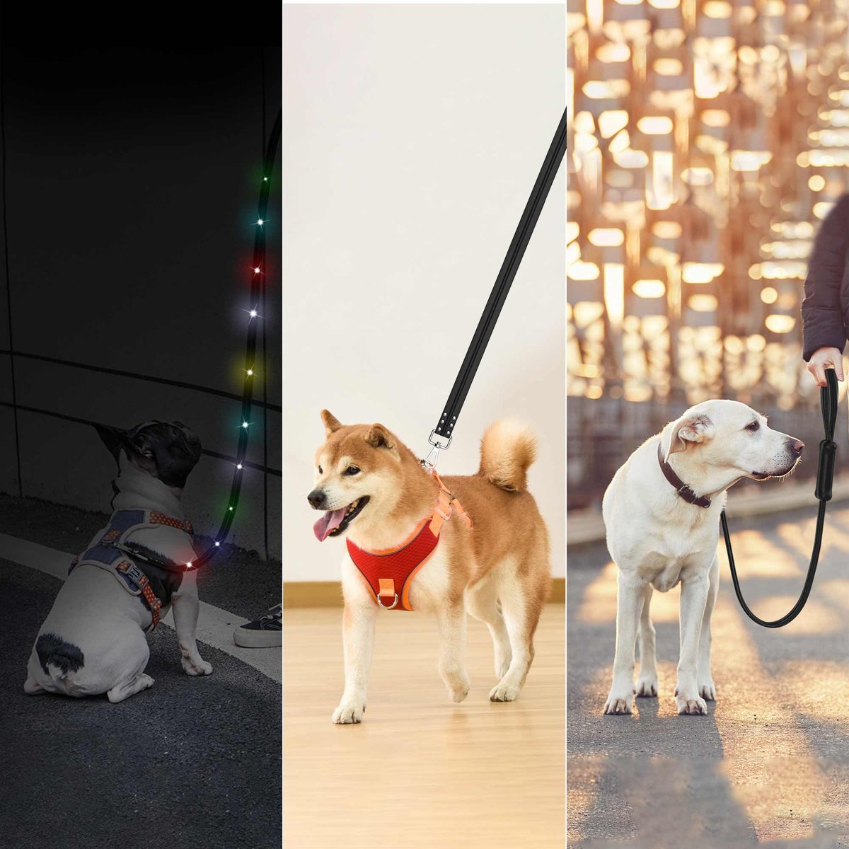 Led hotsell dog leash