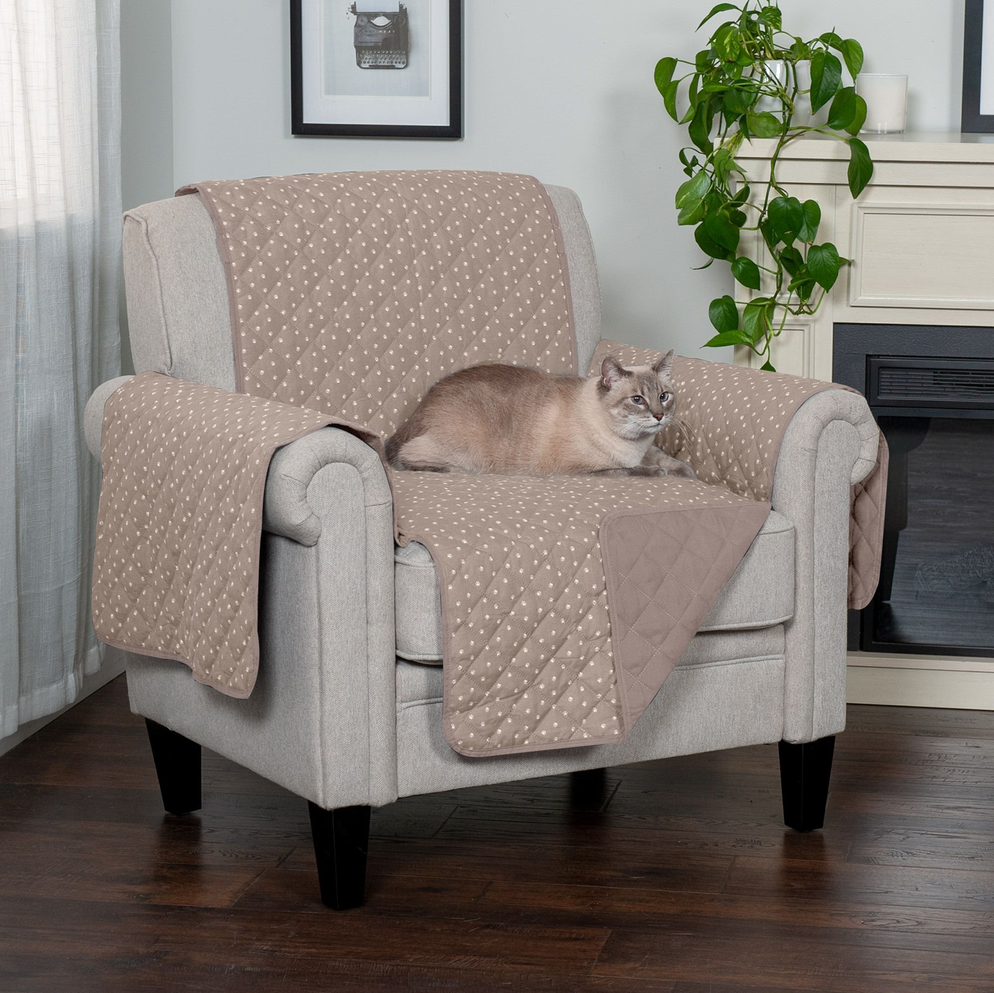 Chewy chair online covers