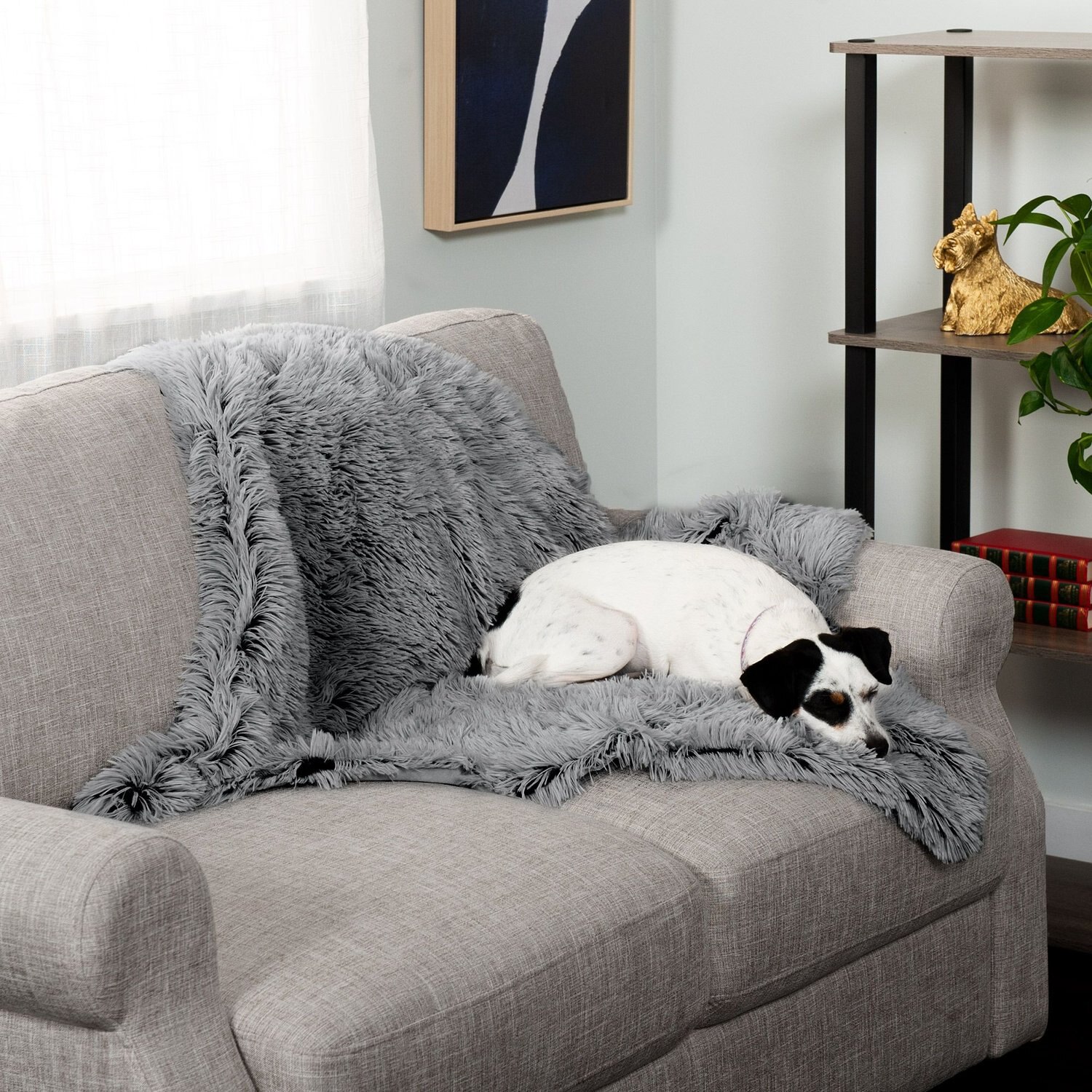 FURHAVEN Polyester Long Fur & Velvet Dog Blanket, Gray, Medium - Chewy.com