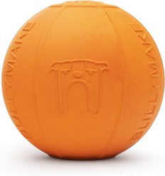 BULLYMAKE Beach Ball Dog Toy