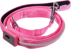 Blazin' Safety LED Dog Leash, Pink, Small slide 2 of 5