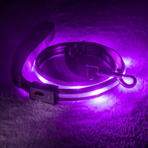 Blazin' Safety LED Dog Leash, Purple, Small