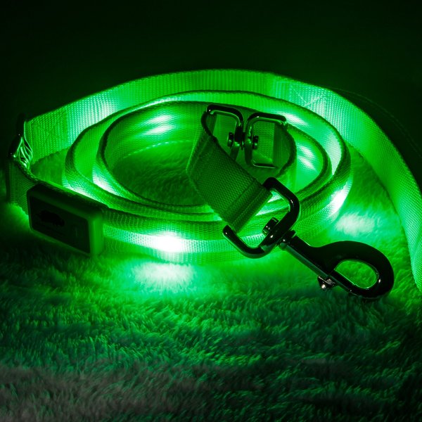 Blazin' Safety LED Dog Leash, Green, Large slide 1 of 8