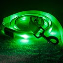 Blazin LED Dog Leash, Green, Large