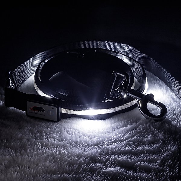Blazin' Safety LED Dog Leash, Black, Large slide 1 of 8