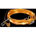 Blazin' Safety LED Dog Leash, Orange, Large