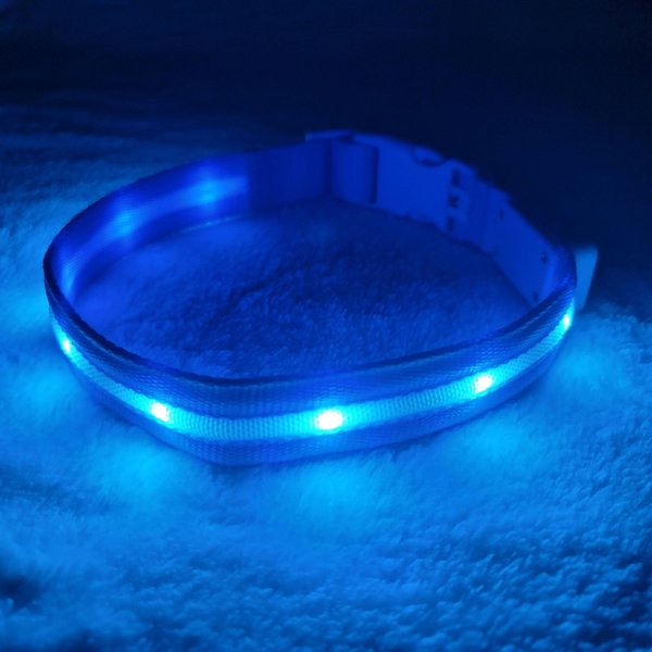 Blazin' Safety LED USB Rechargeable Nylon Dog Collar, Light Blue, X-Small slide 1 of 9